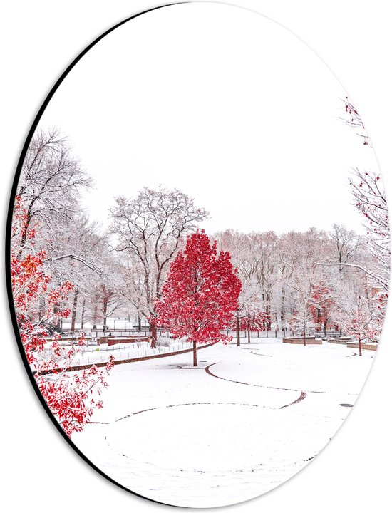 WallClassics - Dibond Ovaal - Rode Boom in de Sneeuw - 21x28 cm Foto op Ovaal (Met Ophangsysteem)