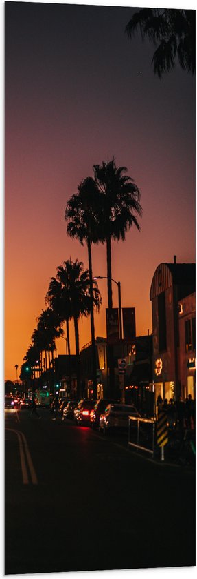 WallClassics - Vlag - Palmbomen in de Nacht - 40x120 cm Foto op Polyester Vlag