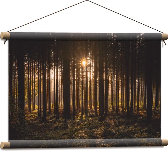 WallClassics - Textielposter - Ondergaande Zon tussen de Bomen - 60x40 cm Foto op Textiel