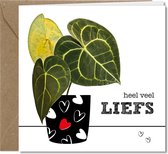 Tallies Cards wenskaarten - Liefs Sterkte - collectie PLANT - 4 kaarten met envelop - duurzaam