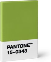 Porte-cartes de crédit et cartes de visite Pantone Organize - Vert 15-0343