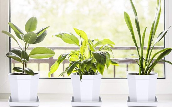 Bloempotten voor planten, kweekcontainer voor bloemen, 11