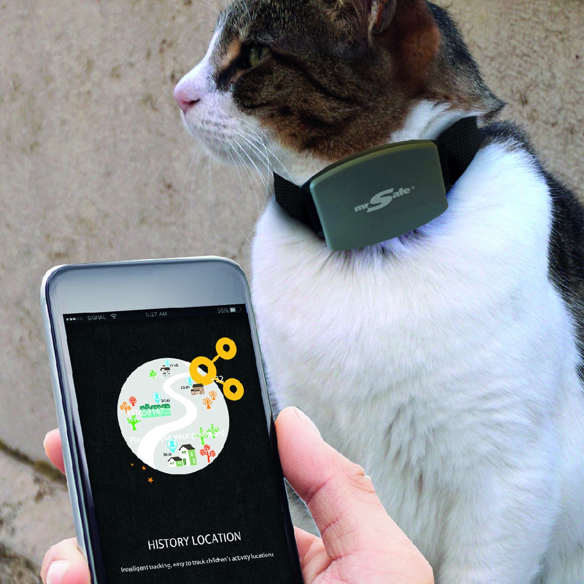Mr. Safe Smart Pet Tracker - GPS Tracker Voor Huisdieren (SPT-100) - Mr Safe