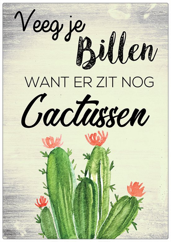 Spreukenbordje: Veeg Je Billen, Want Er Zit Nog Cactussen! - Houten Tekstbord - Uitspraak - Quote - 14 x 20cm