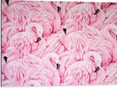 WallClassics - Dibond - Getekende Roze Flamingos - 80x60 cm Foto op Aluminium (Wanddecoratie van metaal)