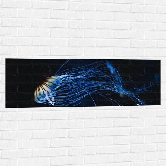 WallClassics - Muursticker - Geel met Blauwe Kwal onder Water - 120x40 cm Foto op Muursticker