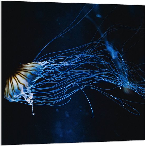 WallClassics - Acrylglas - Geel met Blauwe Kwal onder Water - 100x100 cm Foto op Acrylglas (Met Ophangsysteem)