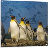 WallClassics - Tuinposter – Keizer Pinguïns op een Rijtje - 100x100 cm Foto op Tuinposter  (wanddecoratie voor buiten en binnen)