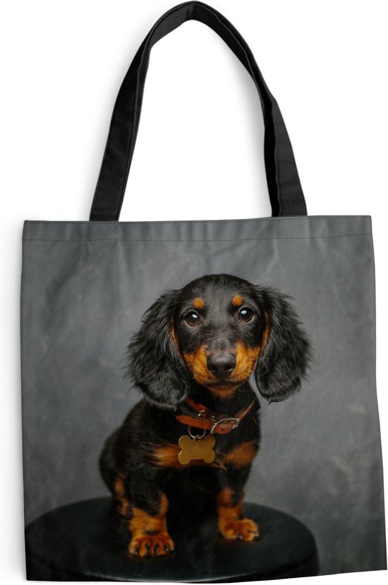 Teckel Schoudertas – Teckel Familie bestellen via Teckel Shop