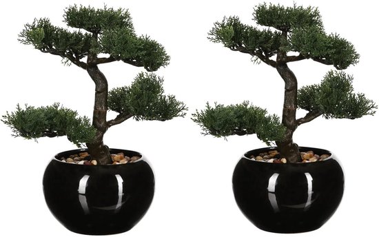 Set van 2x stuks atmosphera bonsai in keramische pot 36 cm - Nepplanten