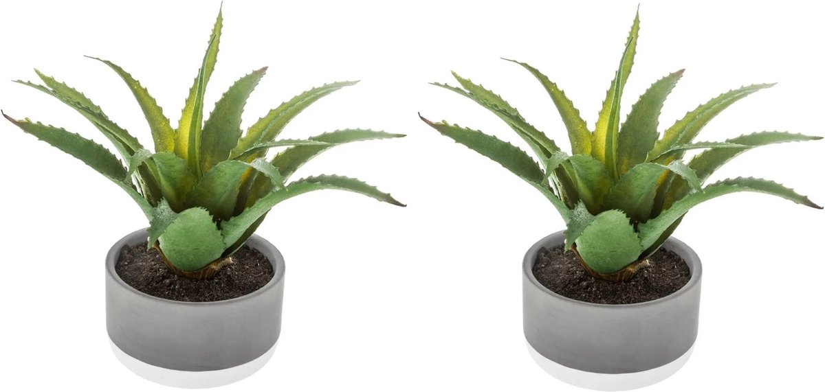Atmosphera Set van 2x stuks atmosphera kunstplanten in pot van cement 22 cm - Nepplanten Groen