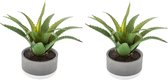 Set van 2x stuks atmosphera kunstplanten in pot van cement 22 cm - Nepplanten