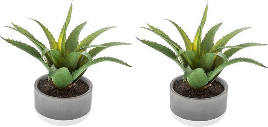 ONMDQS 6 stuks kunstbloemplanten, kleine wilde bloemen decoratie kunstmatige plastic zijden boeketten nepplanten viooltje voor familie tuin decoraties (roze geel rood wit paars zonsondergang rood