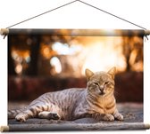 WallClassics - Affiche Textile - Chat Paresseux - 60x40 cm Photo sur Textile