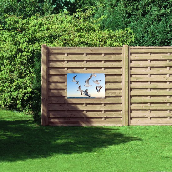 WallClassics - Poster de jardin - Mouettes au bord de la mer - 90x60 cm Photo sur poster de jardin (décoration murale pour extérieur et intérieur)
