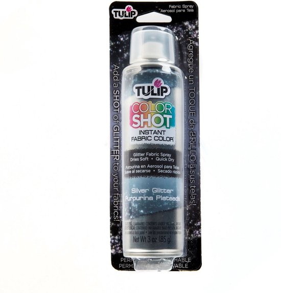 Tulip ColorShot instant fabric color spray Silver glitter