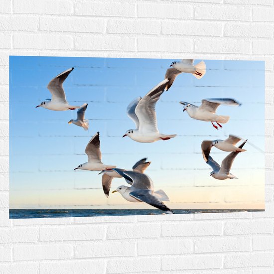 WallClassics - Muursticker - Meeuwen bij de Zee - 105x70 cm Foto op Muursticker