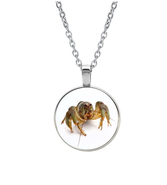 Ketting Glas - Krab