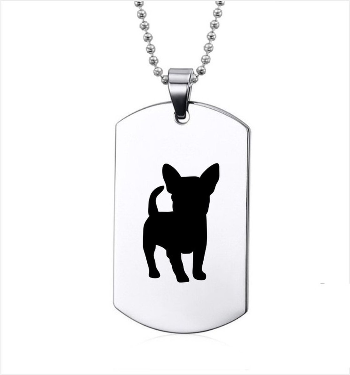 Ketting RVS - Hond