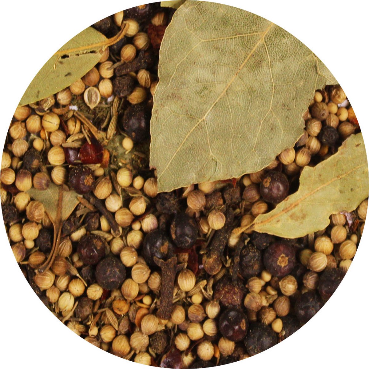 Goedkoopste Van Beekum Specerijen - Inmaakkruiden - 12 KG - Zak (bulk verpakking