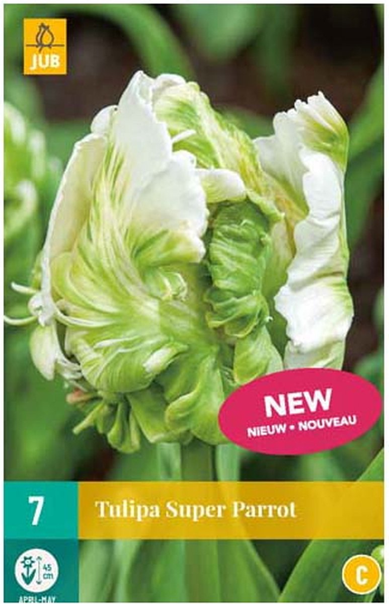 Jub Holland - Tulpen bloembollen - Tulipa Super Parrot - 7 bloembollen