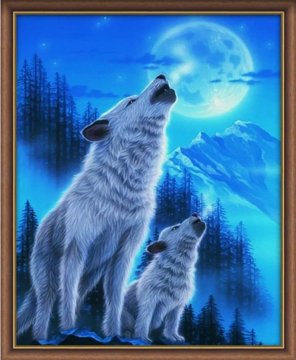 Diamond Painting The first song 30x40 cm vierkante steentjes