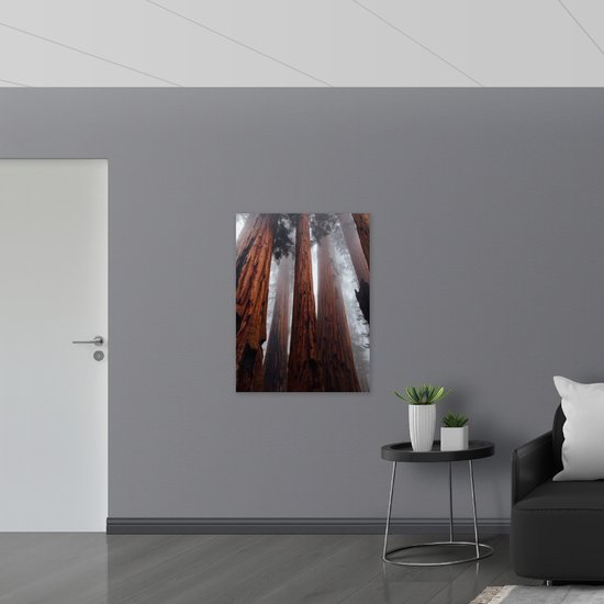 WallClassics - PVC Schuimplaat- Hele Hoge Bomen in Mistig Bos - 75x100 cm Foto op PVC Schuimplaat