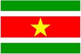 Multipak van 2x stuks mini vlag Suriname 60 x 90 cm