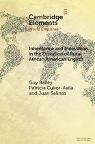 Elements in World Englishes - Inheritance and Innovation in the Evolution of Rural African American English