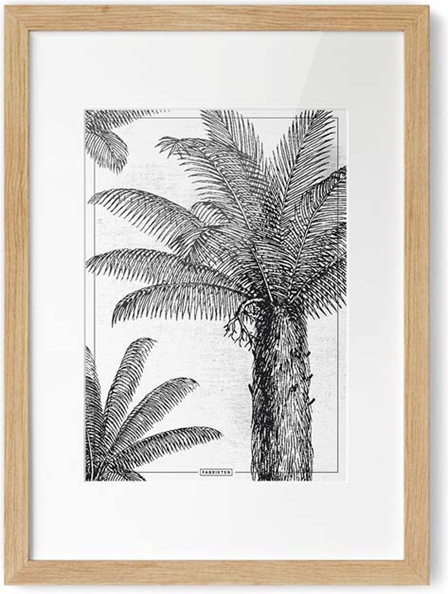 Fabrikten Poster Kokospalm - Zwart/Wit - A4 Kokospalm A4