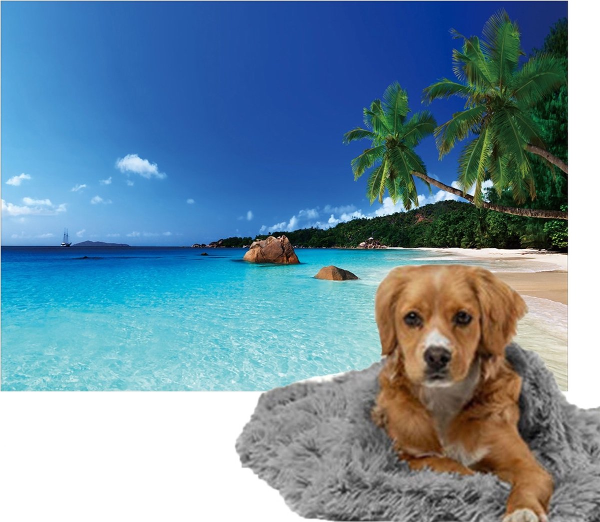Ulticool – Zachte Fleece Deken – 100x150 cm – Tropisch Strand Zee Palmboom – Dubbelzijdige Plaid voor Huisdier – Versiering voor huiskamer – Accessoire op de bank – Achterbank Auto – Kofferbak – voor Kat Poes
