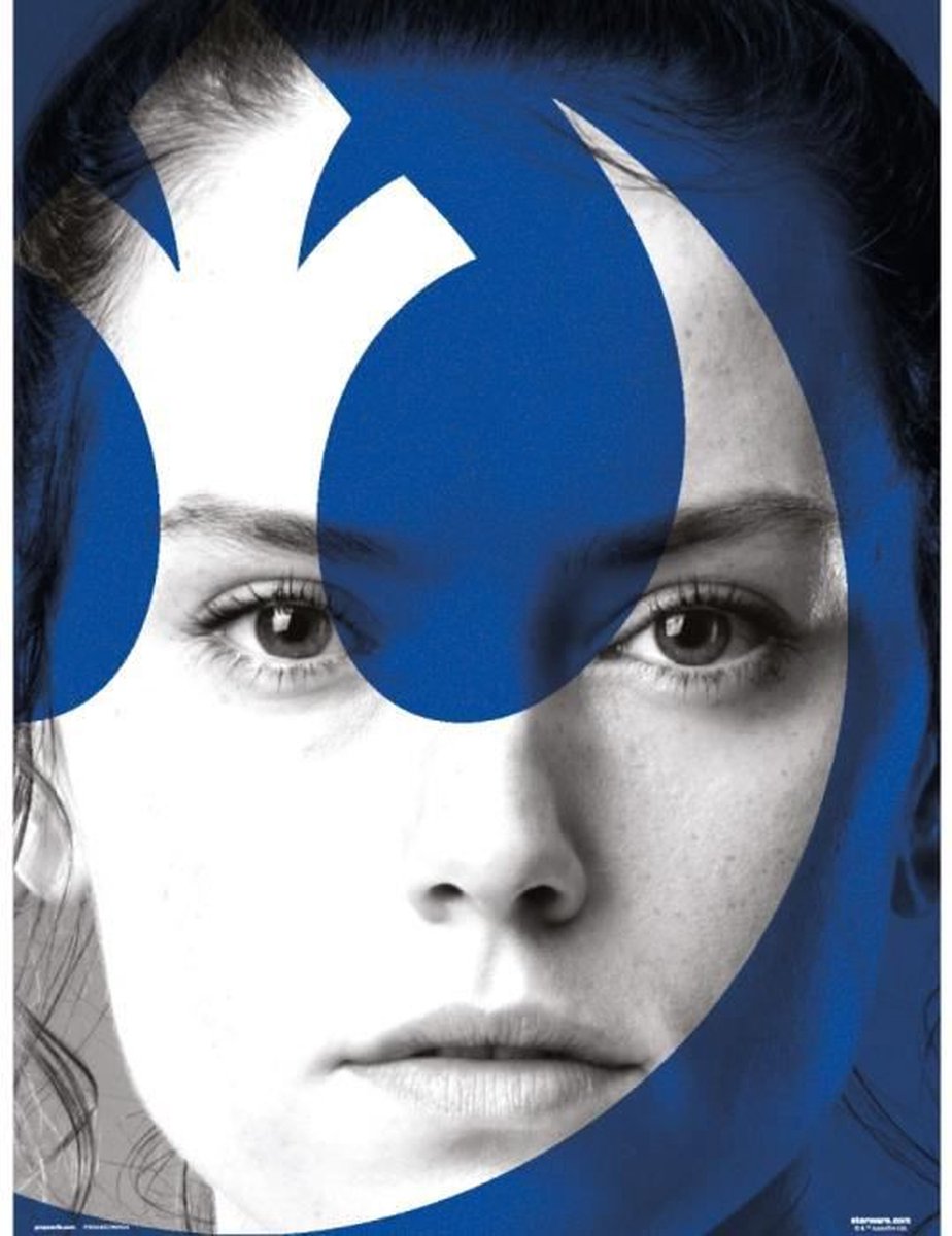 Grupo Erik Disney Star Wars Rey - Art Print 30x40 cm
