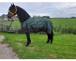 Regendeken luxe 100gram Green/swirl Buitendeken-185