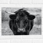 WallClassics - Sticker Muursticker - Photo Zwart Wit du Taureau - 40x30 cm Photo sur Sticker Muursticker