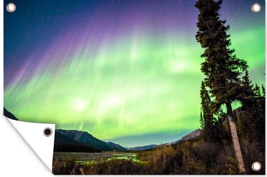 Posters de jardin Aurores Boréales - Arbre - Berg - Nature - 90x60 cm