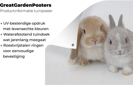 Affiche jardin - Deux lapins - 180x120 cm - XXL