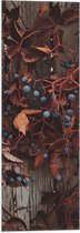 WallClassics - Vlag - Bruine Plant met Bessen aan de Schutting - 20x60 cm Foto op Polyester Vlag
