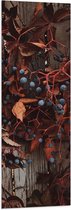 WallClassics - Vlag - Bruine Plant met Bessen aan de Schutting - 40x120 cm Foto op Polyester Vlag