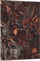 WallClassics - Vlag - Bruine Plant met Bessen aan de Schutting - 80x120 cm Foto op Polyester Vlag