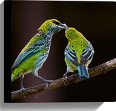 WallClassics - Canvas  - Twee Spikkeltangare Vogels  - 30x30 cm Foto op Canvas Schilderij (Wanddecoratie op Canvas)