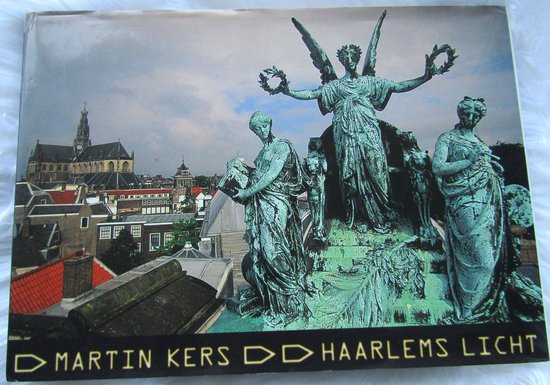 Cover van het boek 'Haarlems licht'
