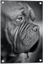 WallClassics - Tuinposter – Bordeaux hond Zwart / Wit - 40x60 cm Foto op Tuinposter  (wanddecoratie voor buiten en binnen)