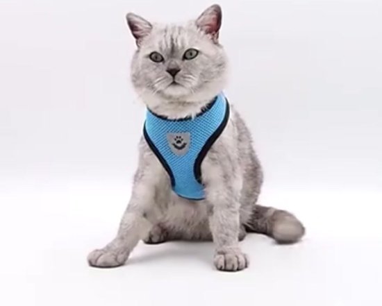 Pawise kitten tuigje met riem roze/paars Pawise kitten tuigje met riem roze/paars