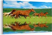 Schilderij - Paarden in de wei — 90x60 cm