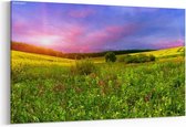 Schilderij - Kleurrijk bloesemgebied in de zomer — 100x70 cm