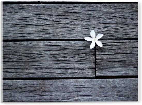 Acrylglas - Grijze Houten Planken met Wit Bloempje - 40x30cm Foto op Acrylglas (Met Ophangsysteem)