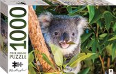 Jigsaw puzzel Koala legpuzzel - 1000 stukjes