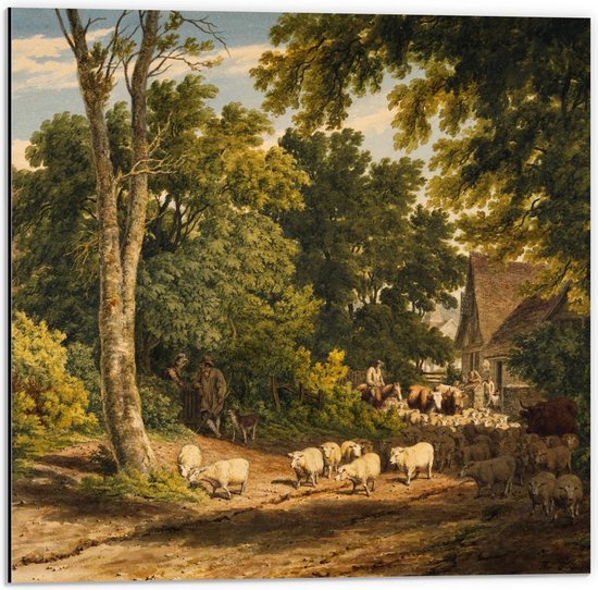 Dibond - Schildering van Schapen tussen de Bomen - 50x50cm Foto op Aluminium (Met Ophangsysteem)