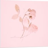 Forex - ligt Roze Getekende Roos - 80x80cm Foto op Forex