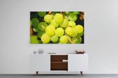 Schilderij - Groene druiven — 100x70 cm